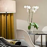 Adina Mitte Apart-hotel